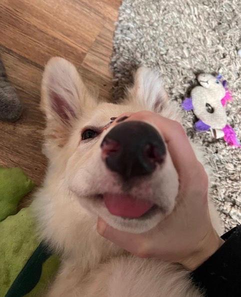 IM AVAILABLE FOR BOTH INCALL AND OUTCALL SERVICE IM AVAILABLE FOR BOTH INCALL AND OUTCALL SERVICE