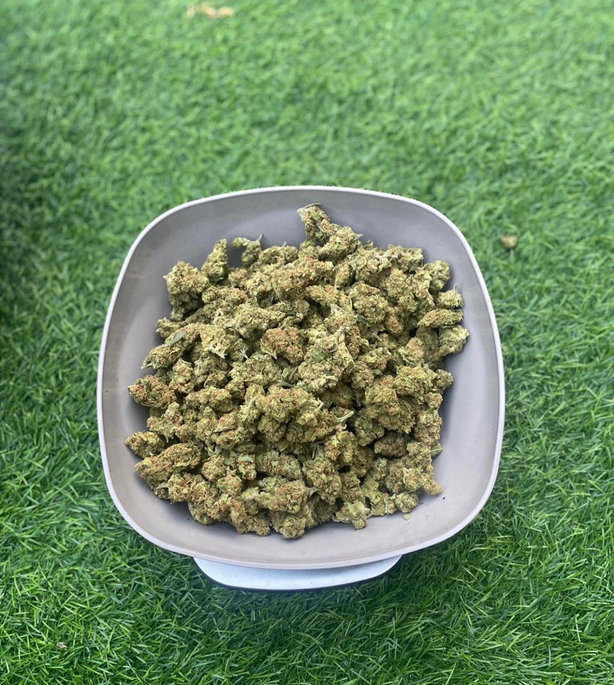 HOOKUP ONLY HOOKUP ONLY